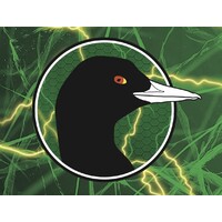 Coots Lures Logo