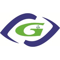 Globalview Financial Services LLP Logo