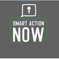 Smart Action Now Logo