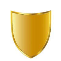 Designer Security, LLC Logo