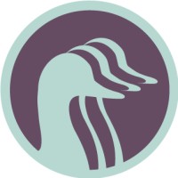 Ducks In Rows Logo