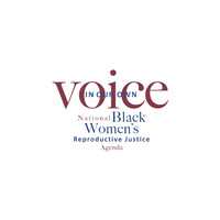 In Our Own Voice: National Black Womens Reproductive Justice Agenda Logo