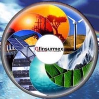 GFINSURMEX Logo