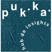 pukka hub de insights Logo