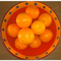 Centre thérapeutique Les Oranges Logo