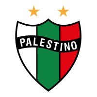 Club Deportivo Palestino Logo