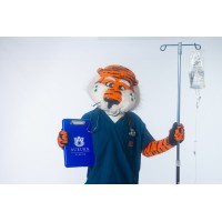 Auburn University College of Nursing Logo