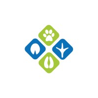 AnimEd Solutions Logo