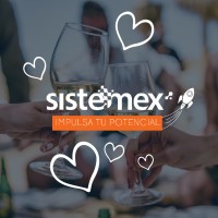 Sistemex Web Solutions Logo