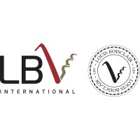 LBV International Logo