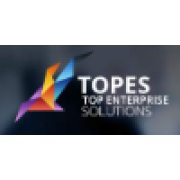 Top Enterprise Solutions Logo