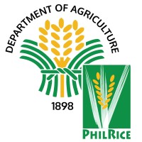 Philippine Rice Research Institute Logo