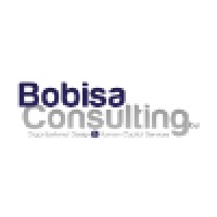 Bobisa Consulting BV Logo
