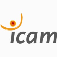 Icam - Institut Catholique dArts et Métiers Logo