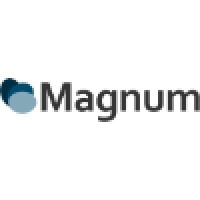 Magnum Object, S.L. Logo