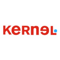 Kernel Business Consulting Logo