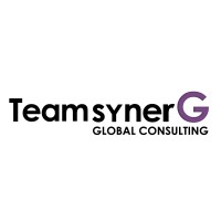 TeamsynerG Global Consulting Logo