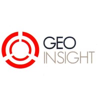 Geoinsight Data Intelligence and Consultancy Ltd.Şti. Logo