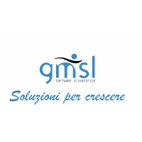 GMSL S.r.l. Logo