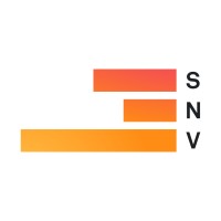 stiftung neue verantwortung Logo