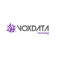 VoxData Technology Logo