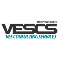 VES Consulting Services, Corp. Logo