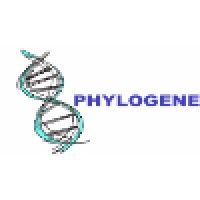 PHYLOGENE Logo
