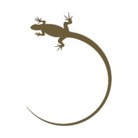 Iguana Yachts Logo