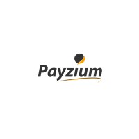 Payzium Logo