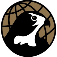 Falcon International Logo