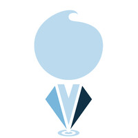 De Kleine Consultant Logo