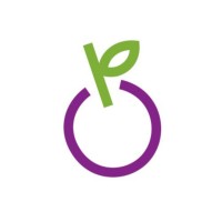 VerriBerri Digital Logo