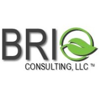 Brio Consulting, LLC Logo