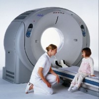 Puma Export, Inc. Logo