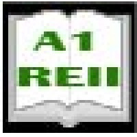 A1 Real Estate & Insurance Institute Logo