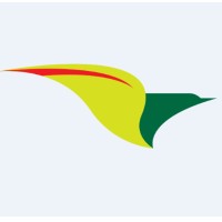 Pássaro Verde Logo
