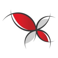 Butterfly Effect Intelligence Logo
