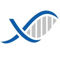 Codex Automation Logo