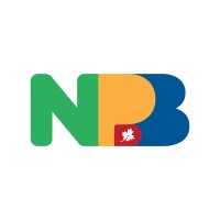 NPB - Networking para Brasileiros no Canada | Brazilians Networking Group Logo