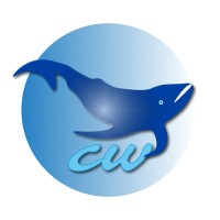 Jediz_Team Logo