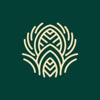 Ascensie Online Logo