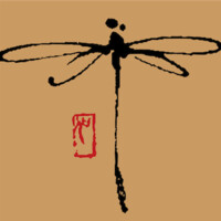 Dragonfly Therapeutic Retreats Logo