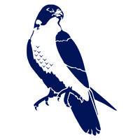 Broadfield Capital Management LLC Logo