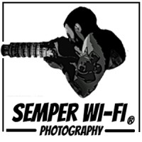 Semper Wi-Fi Logo