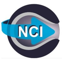 Neumática y Control Industrial LTDA Logo