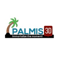 PALMIS3D LLC Logo