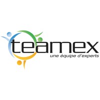 TEAMEX France Logo