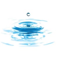 Eason Counseling And Associates Logo