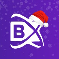 BlockchainX Logo