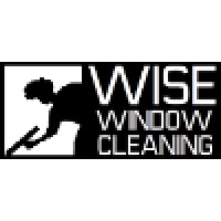 Wise Window Cleaning Logo